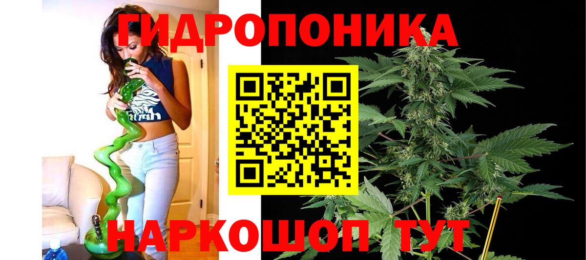 Каннабис тримм  Вход с VPN  Канабис план  Гатчина  Канабис индика  Шишки марихуана Ganja 